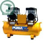 May nen khi khong dau Puma WE160A-2 (3HP)