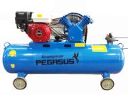 May nen khi chay xang Pegasus TM-V-0.25/8-100L (3HP)