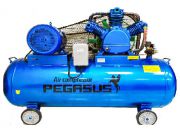 May nen khi Pegasus TM-W-0.67/8-330L (7.5HP)