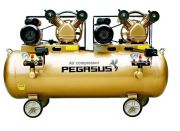 May nen khi Pegasus TM-V-0.25/8x2-230L (6HP)