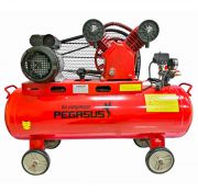 May nen khi pegasus TM-V-0.17/8-70L (2HP)