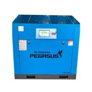 Máy nén khí trục vít Pegasus TMPM-10HP (7.5KW)