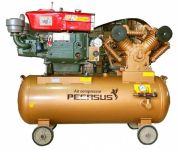 Máy nén khí chạy dầu diesel TM-W-1.6/8-500L (15HP)